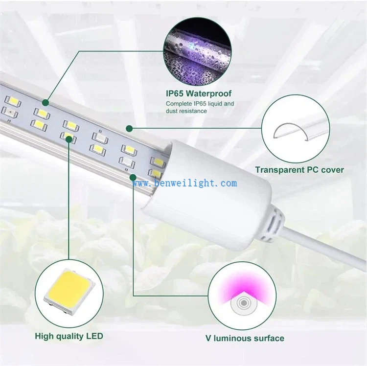 freezer tubeIMG1060 freezer tubeIMG1060