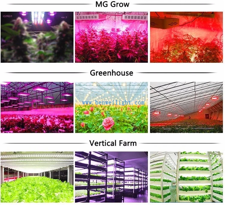 led tube for plant led tube for plant