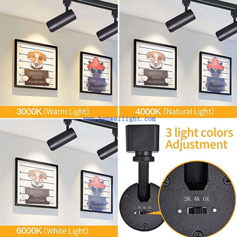 track light-1 track light-1