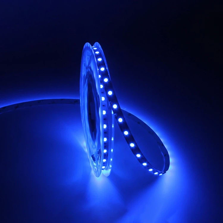 5050 smd led strip lights 2 5050 smd led strip lights 2