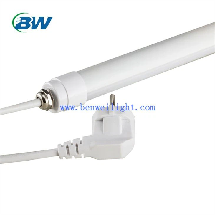 ไฟ LED สำหรับไก่ไข่