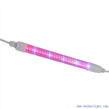 Grow Light Kelvin และ Lumens