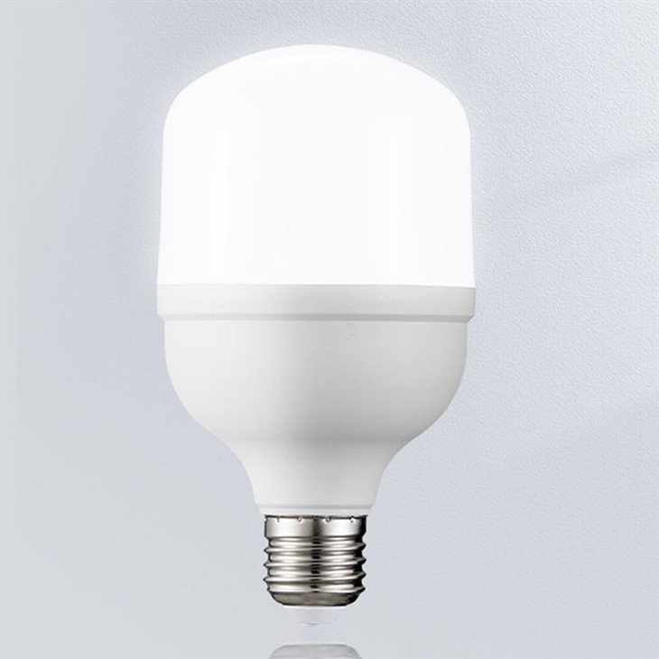 หลอดไฟ LED สำหรับสัตว์ปีก DC48V E27