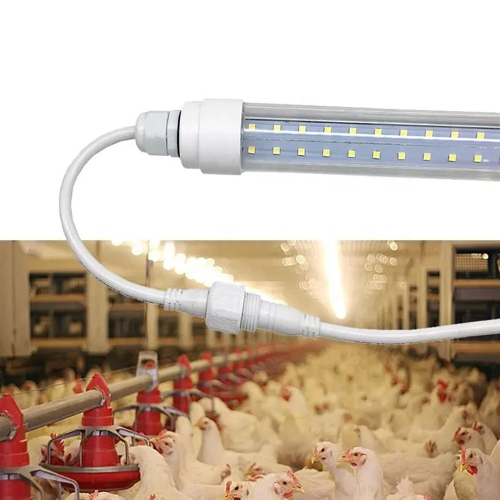 ไฟ LED สัตว์ปีกหรี่สำหรับฟาร์มไก่
