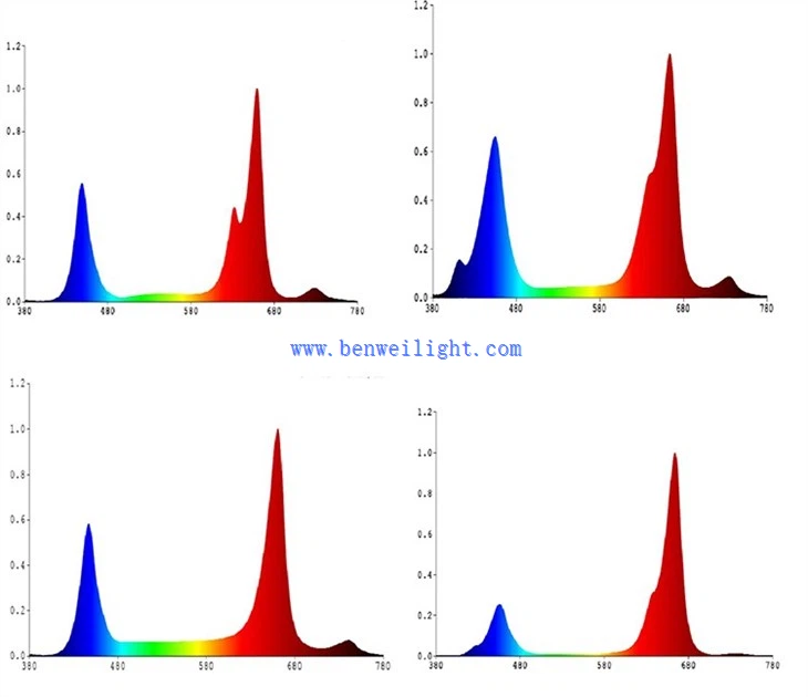 freezer tubeIMG_1084