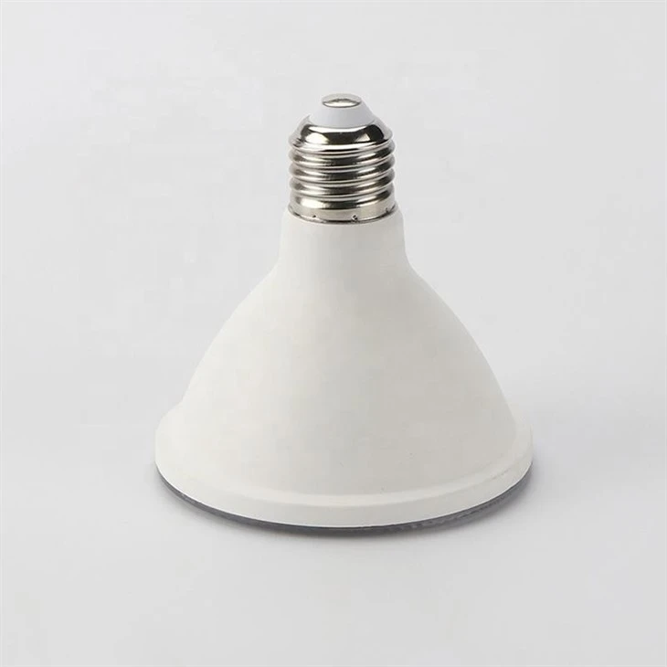 PAR30 Short Neck Light Bulb 1