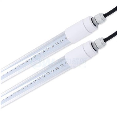 หลอดไฟ LED ฟาร์มสุกร
