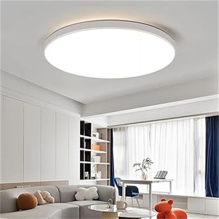 2 PACK 12 Inch 20W Flush Mount LED Ceiling Light best