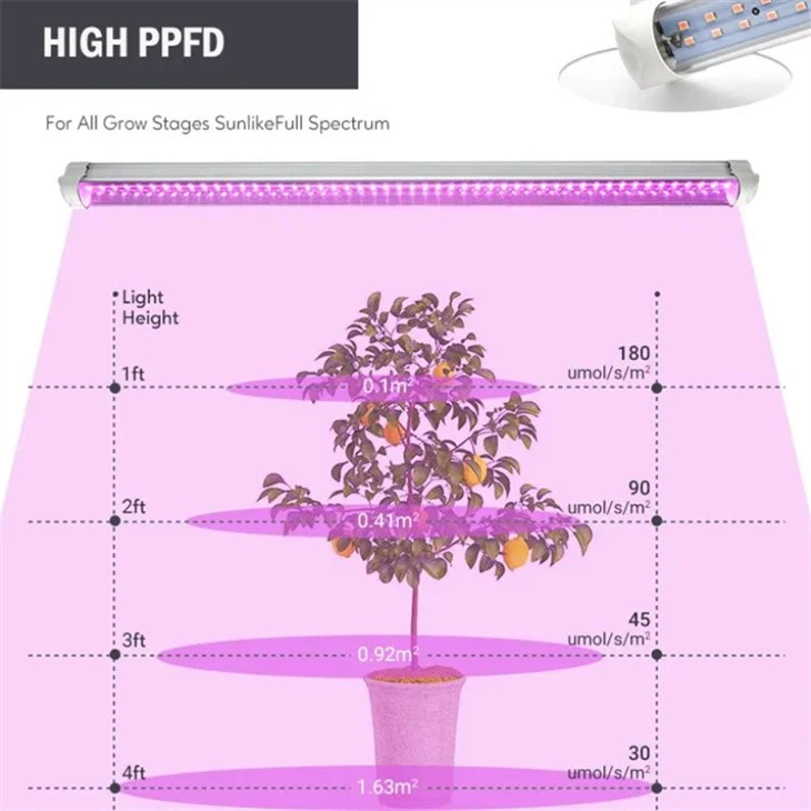 Best Grow Lights For Indoor Plants best