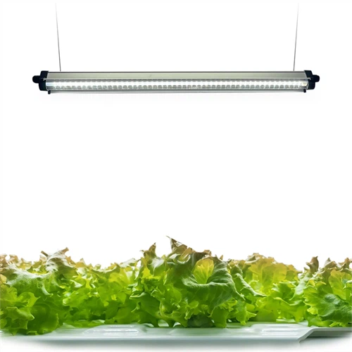 Led Grow Panel/Clamp On Led B, สีน้ำเงิน, 120V, รวมหลอดไฟ