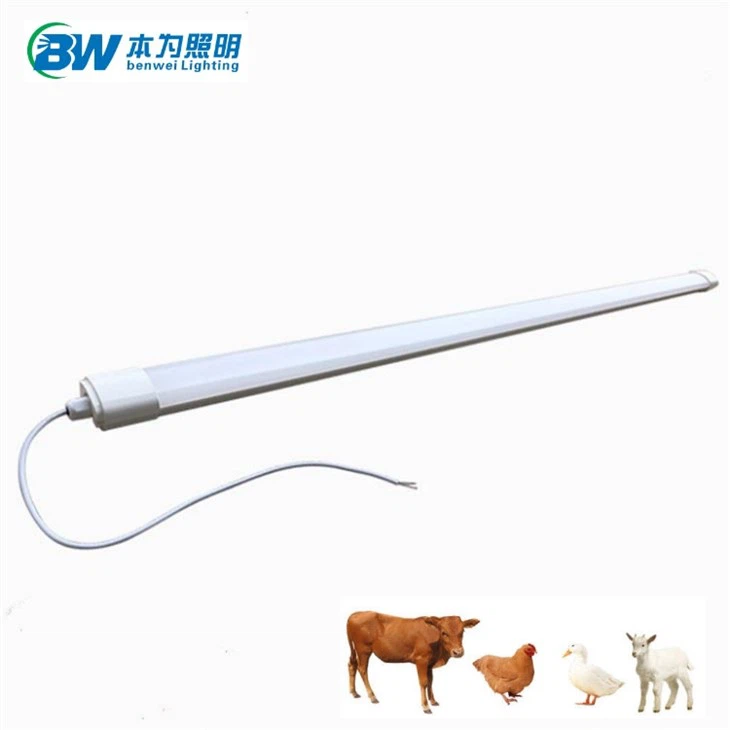battery light with timer for chicken coop