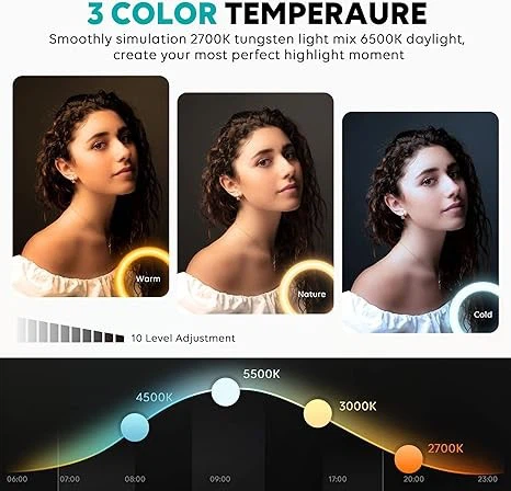 LED Ringlight Dimmable Desktop Lamp 40 Colors RGB Tall Circle Light factory