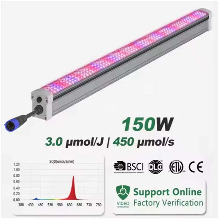 QQ20250514-094400 QQ20250514-094400