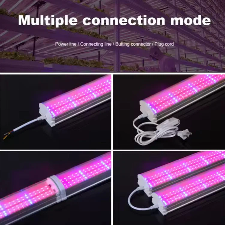 QQ20250514-093809 QQ20250514-093809