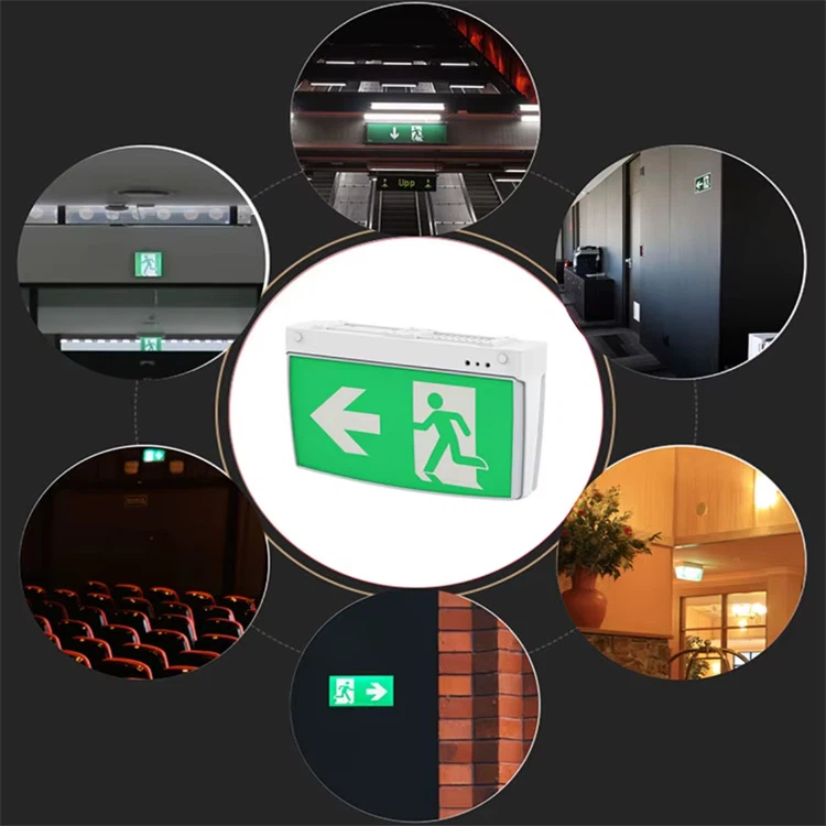 QQ20250811-091351 QQ20250811-091351