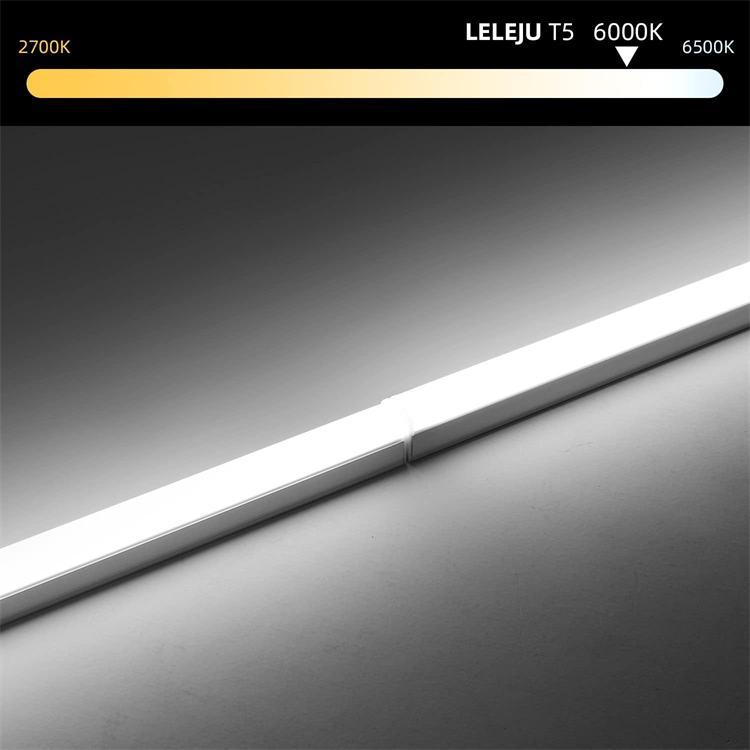product-750-750 product-750-750